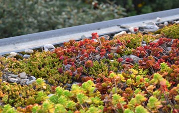 the cost of Lady green roof installation