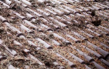 Lady roof cleaning companies