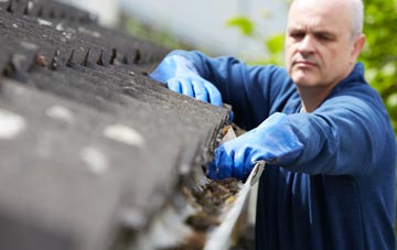 cleaning and inspecting Lady roofs