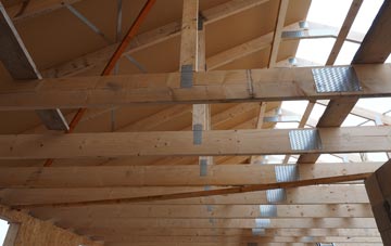 Lady roof truss costs