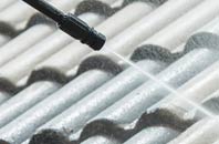 rated Lady roof cleaning companies